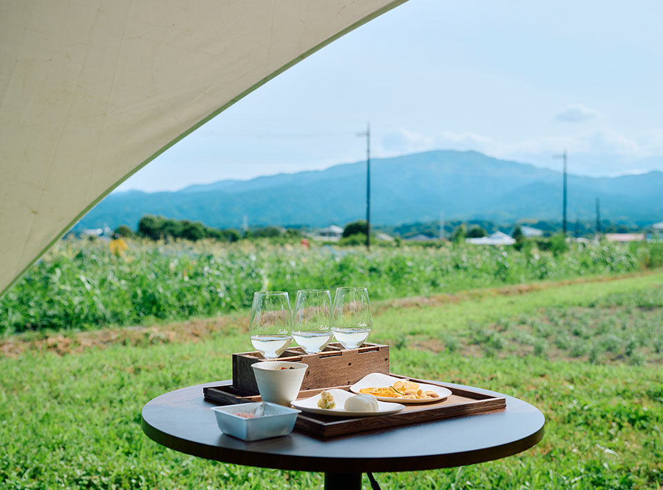 瀬戸酒造店 SakeTerrace　庭園と日本酒、おつまみのセット