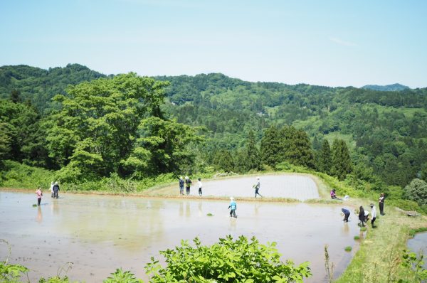 日本酒がつなぐ、里山の未来。デザイン会社が米作りから挑む「MANDOBA」とは？